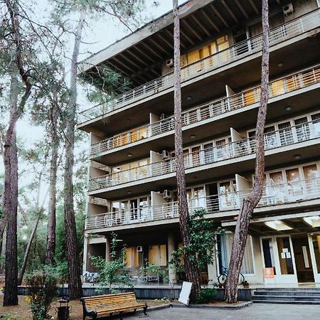 Gosdacha Ldzaa Ξενοδοχείο Lidzava Εξωτερικό φωτογραφία
