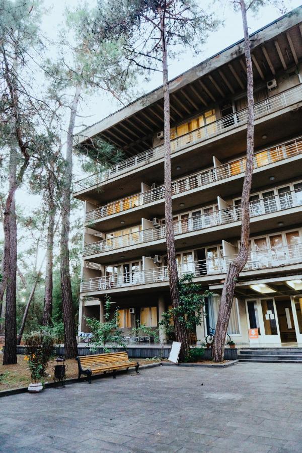 Gosdacha Ldzaa Ξενοδοχείο Lidzava Εξωτερικό φωτογραφία