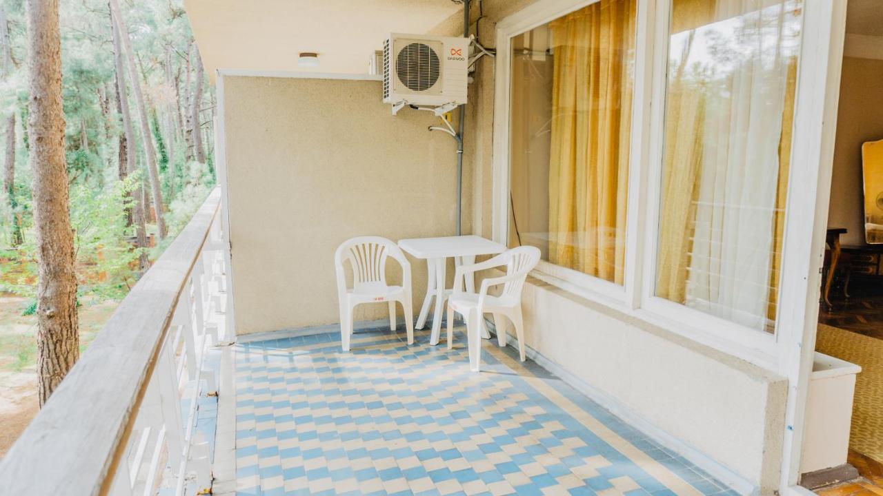 Gosdacha Ldzaa Ξενοδοχείο Lidzava Εξωτερικό φωτογραφία