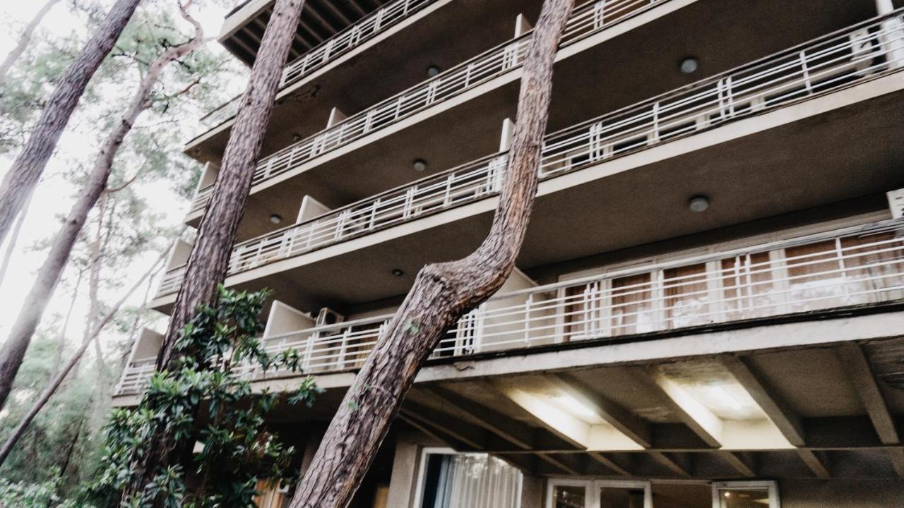 Gosdacha Ldzaa Ξενοδοχείο Lidzava Εξωτερικό φωτογραφία